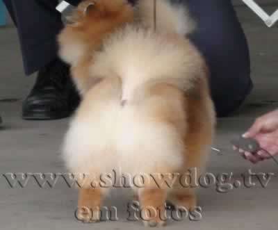 Clique sobre a foto para fechar